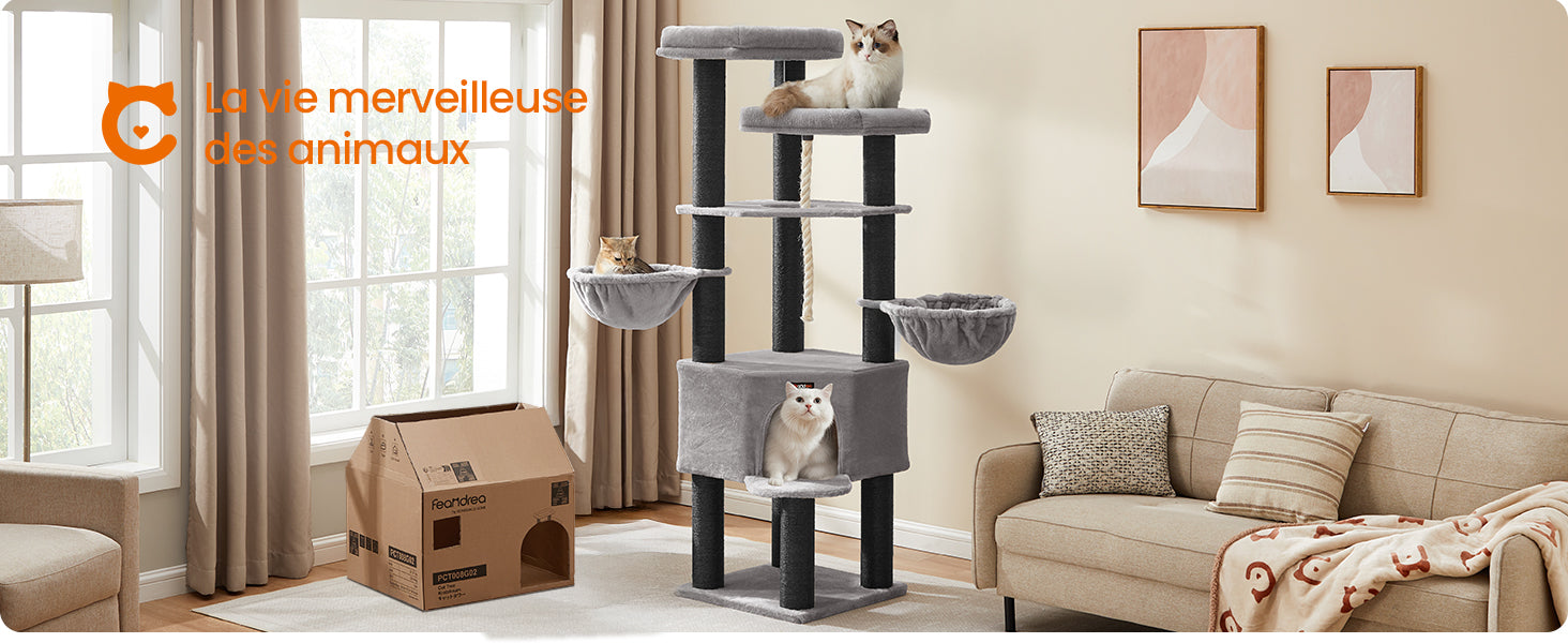 Arbre à Chat Maine Coon Robuste Ma boutique