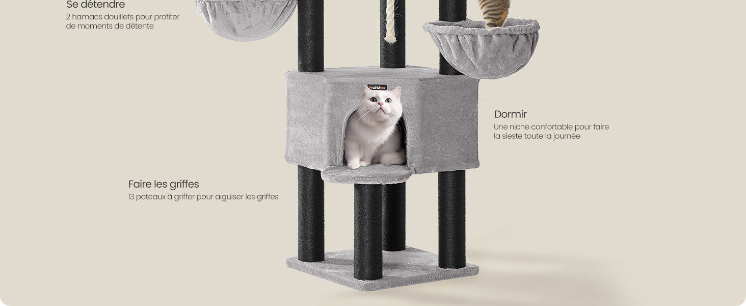 Arbre à Chat Maine Coon Robuste Ma boutique