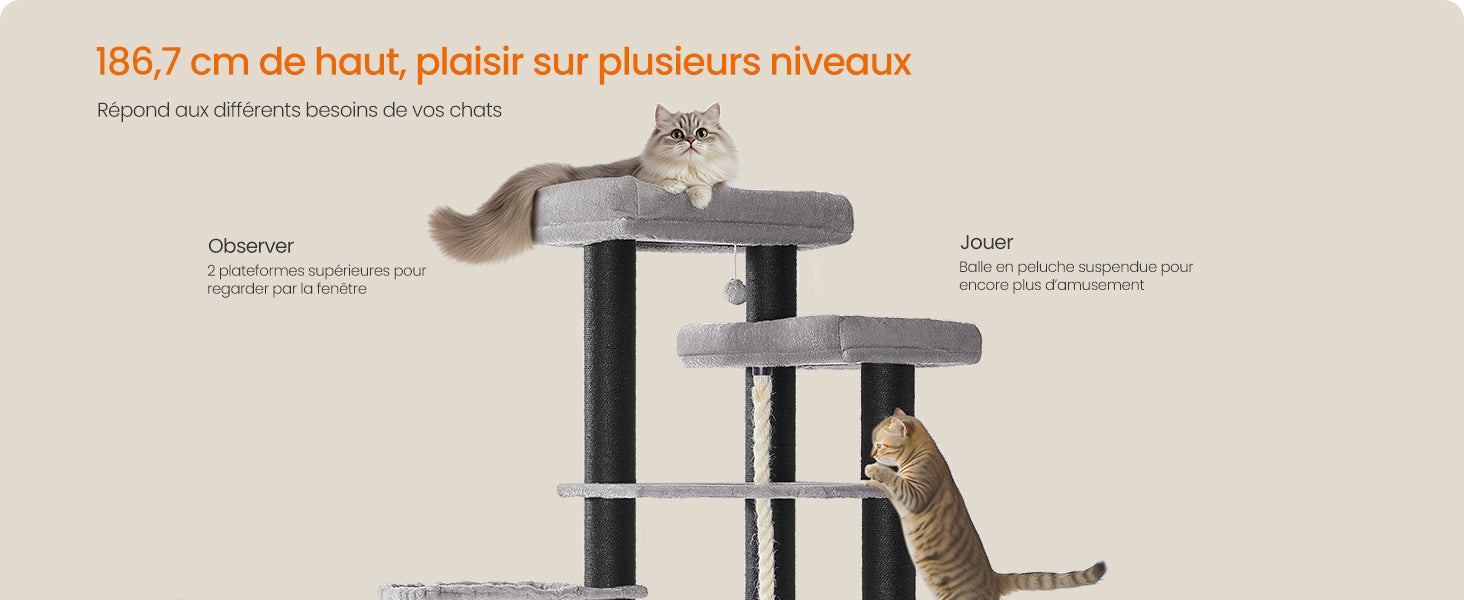 Arbre à Chat Maine Coon Robuste Ma boutique