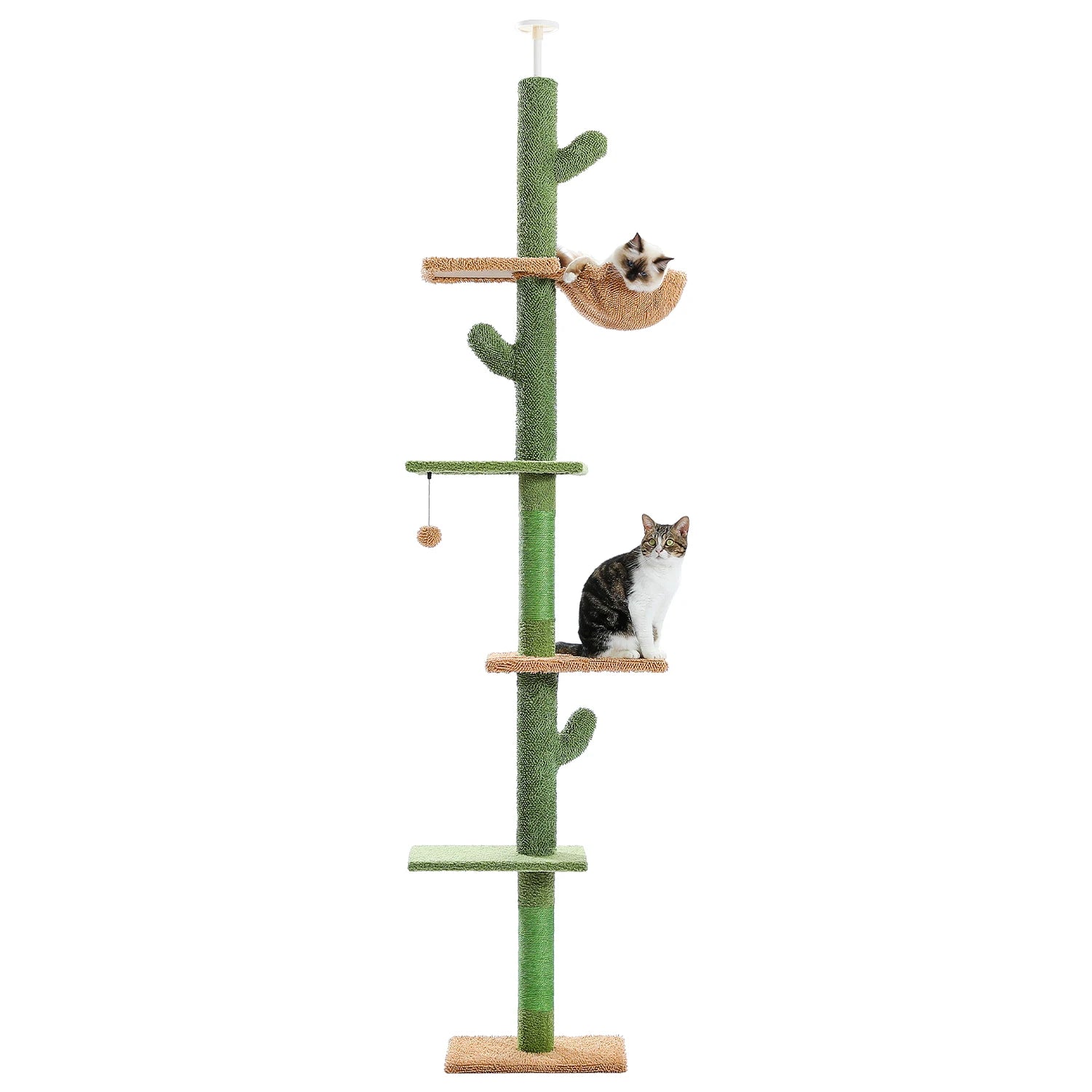 Arbre à Chat Design Cactus Ajustable Ma boutique