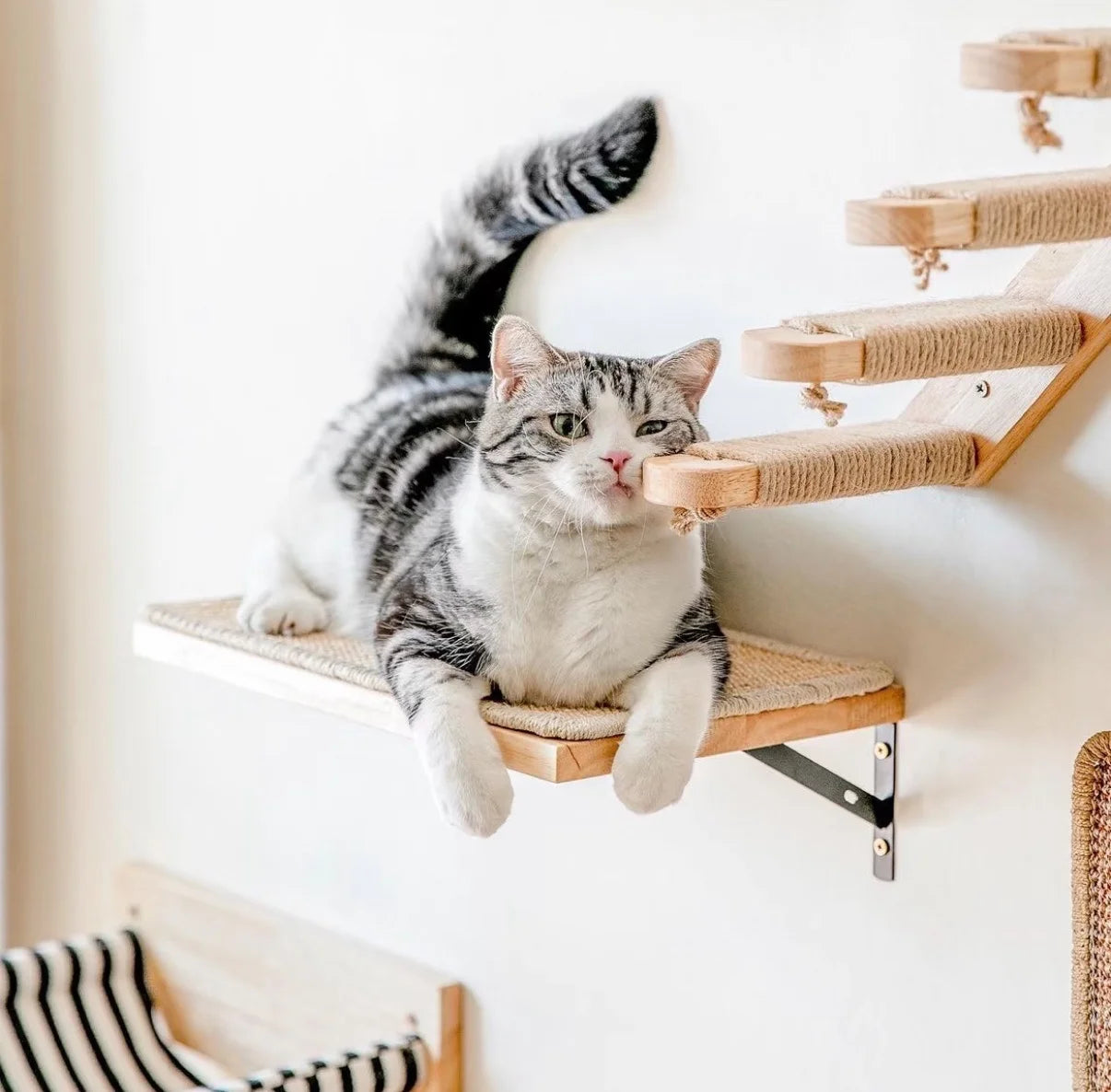 Arbre à Chat Mural Confort Ma boutique