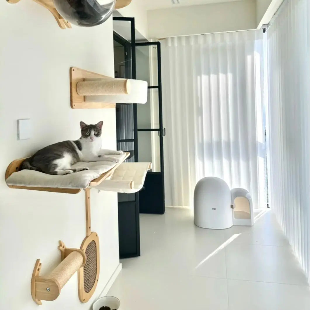 Arbre à Chat Mural Confort Ma boutique