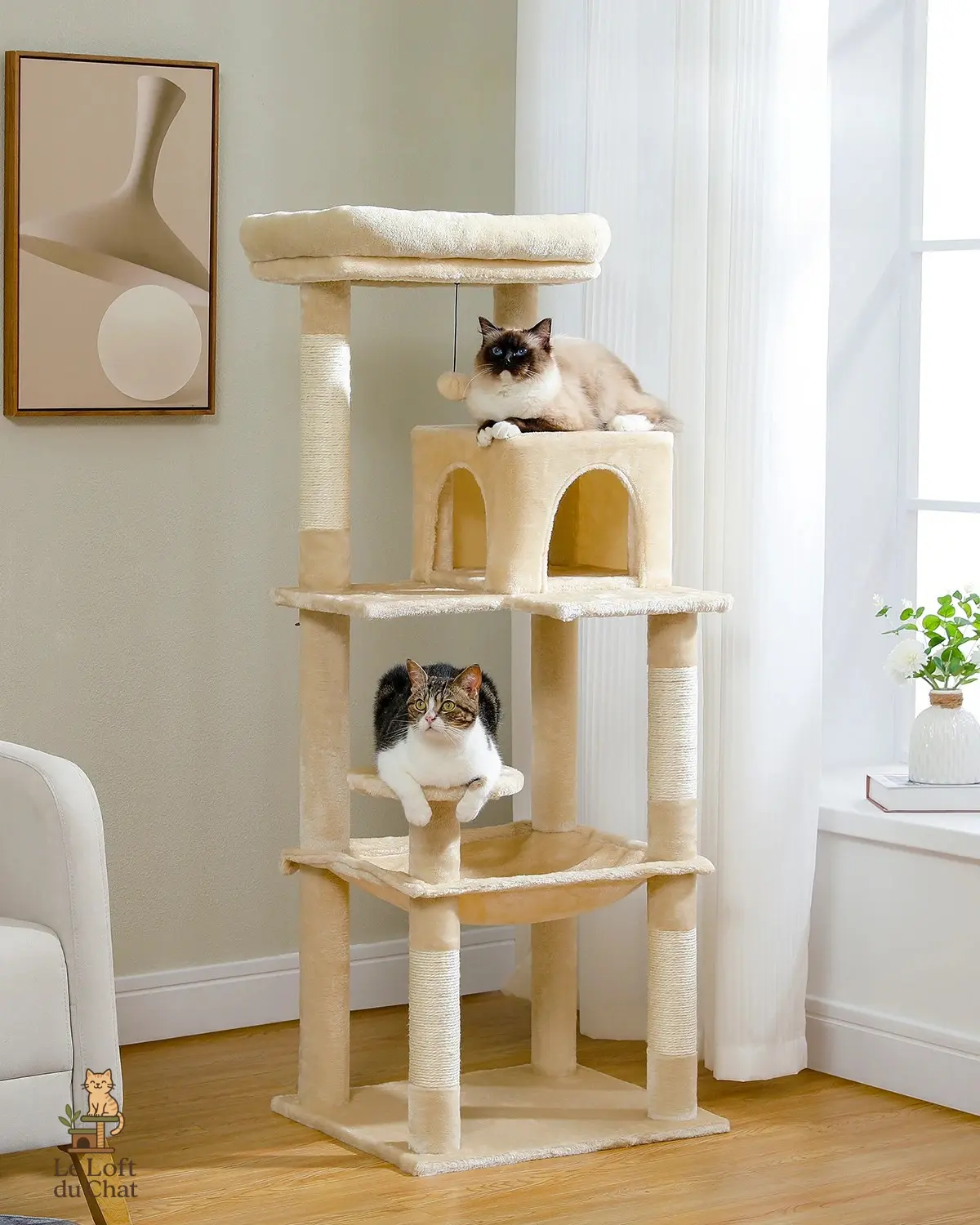 Arbre à Chat Grande Taille Coloris Ma boutique