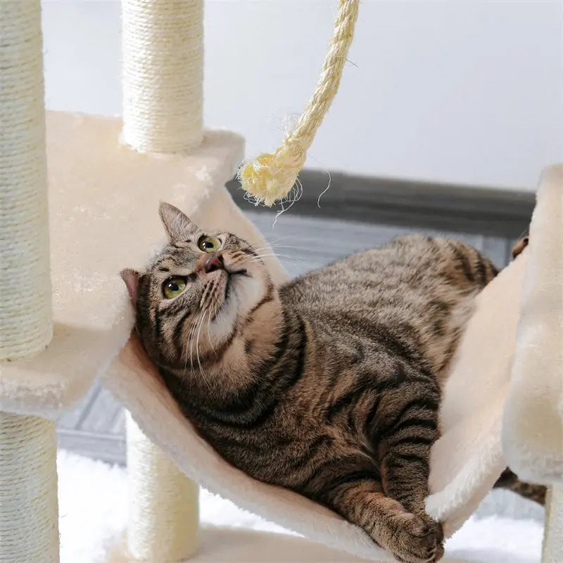 Arbre à Chat Moderne Ma boutique