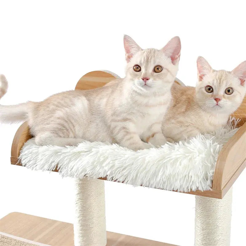 Arbre à Chat Moderne Ma boutique