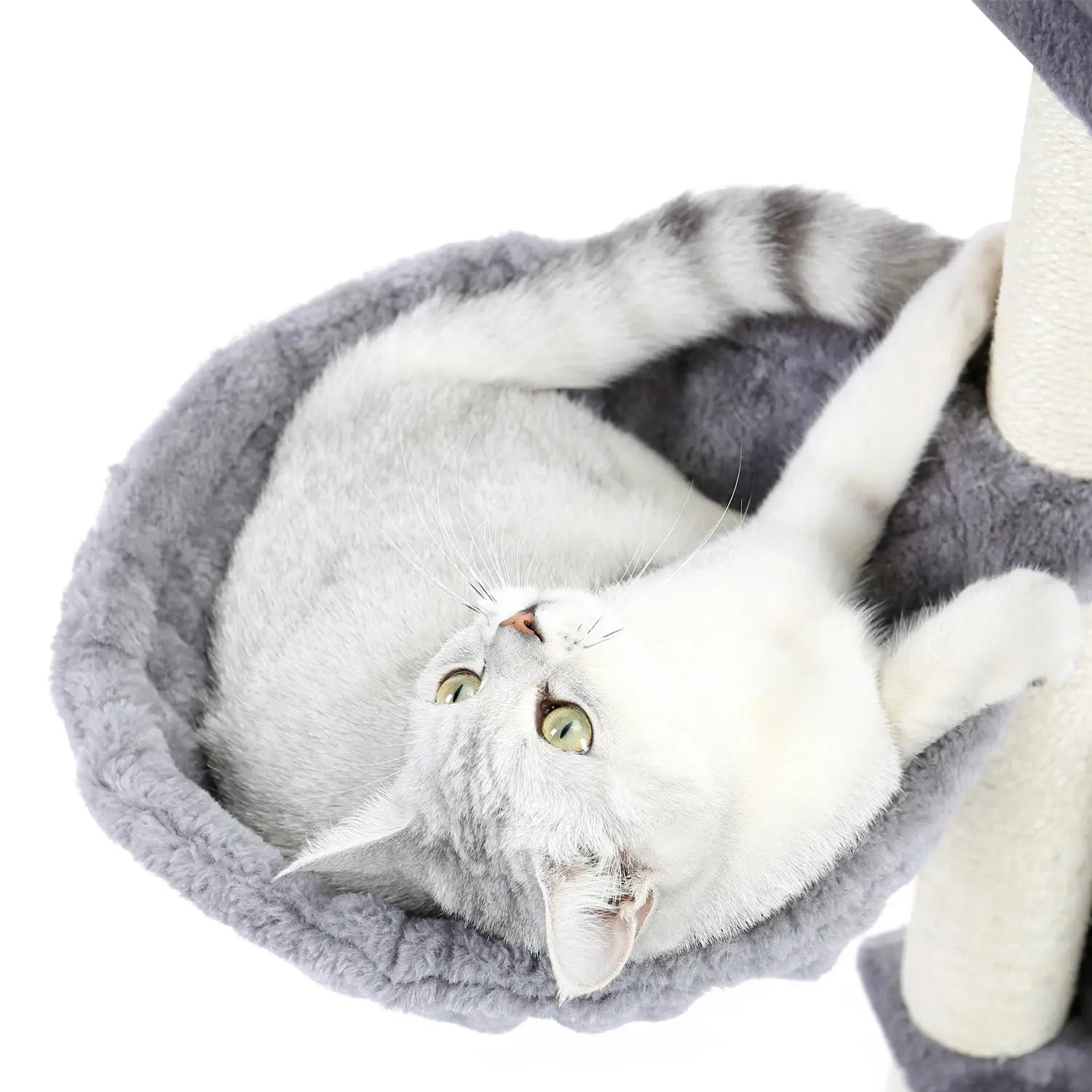 Arbre à Chat Moderne Ma boutique