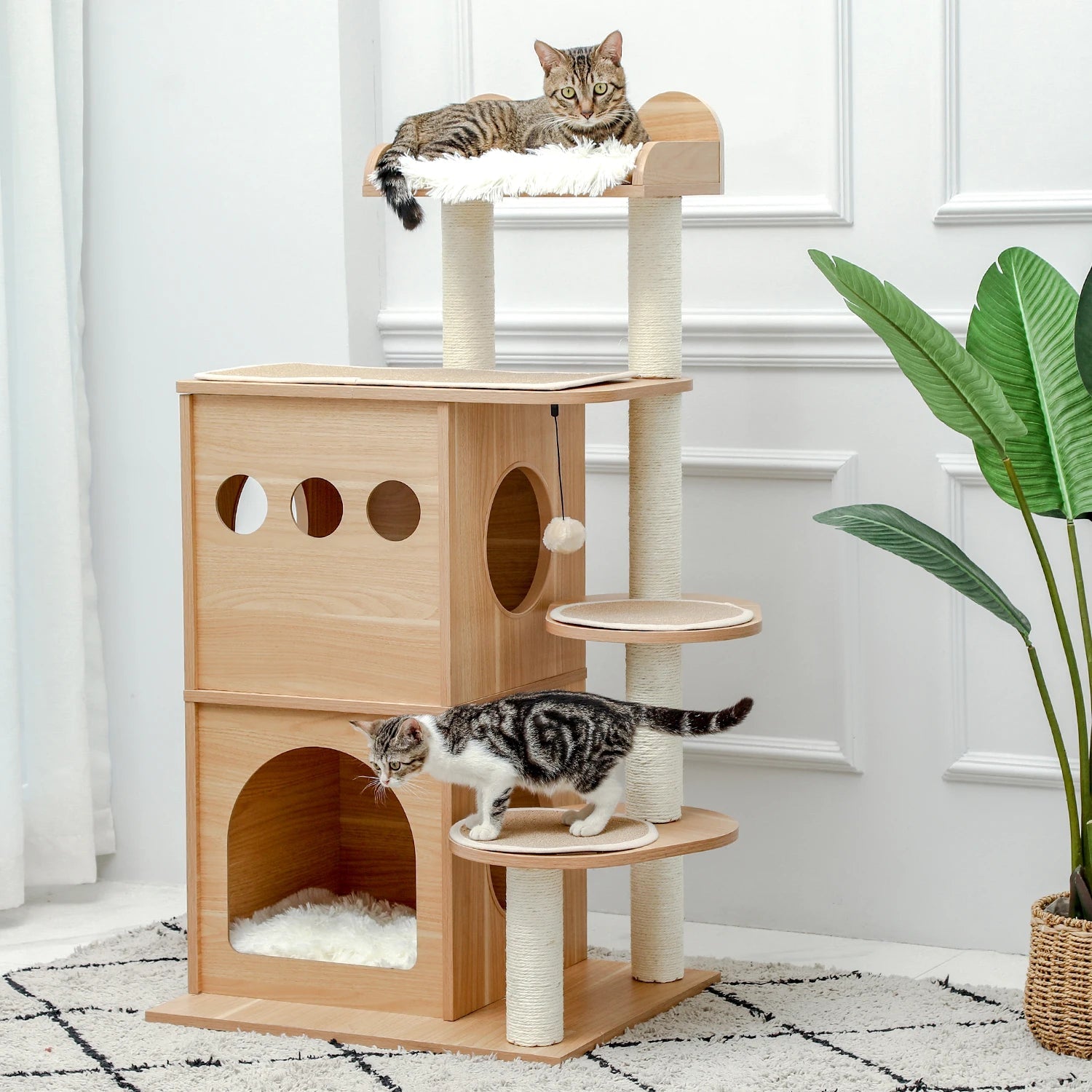 Arbre à Chat en Bois Moderne Ma boutique
