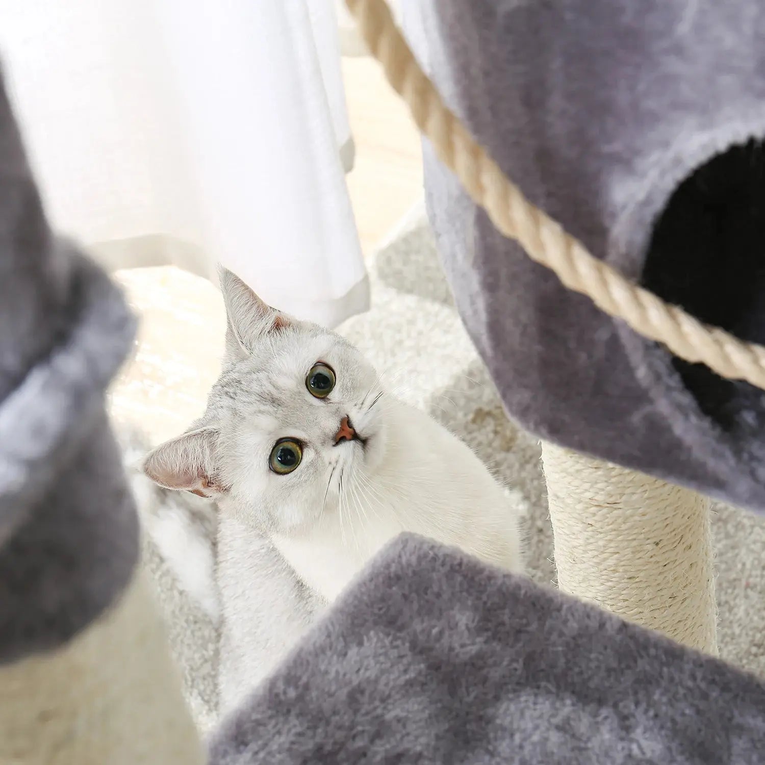 Arbre à Chat Moderne Ma boutique