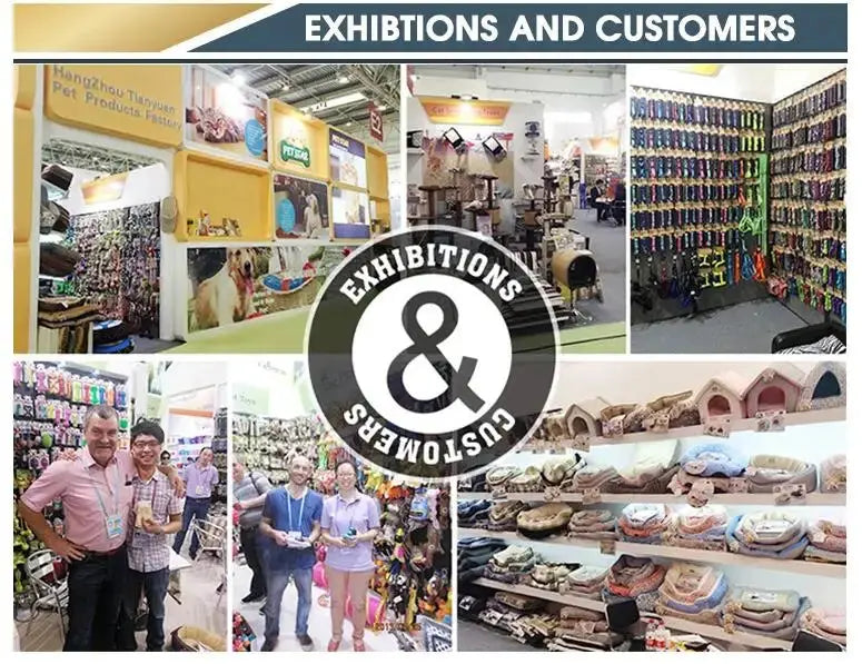 Arbre à Chat Moderne Ma boutique