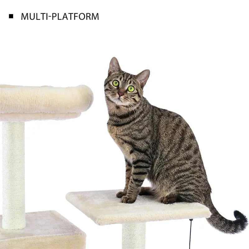 Arbre à Chat Moderne Ma boutique