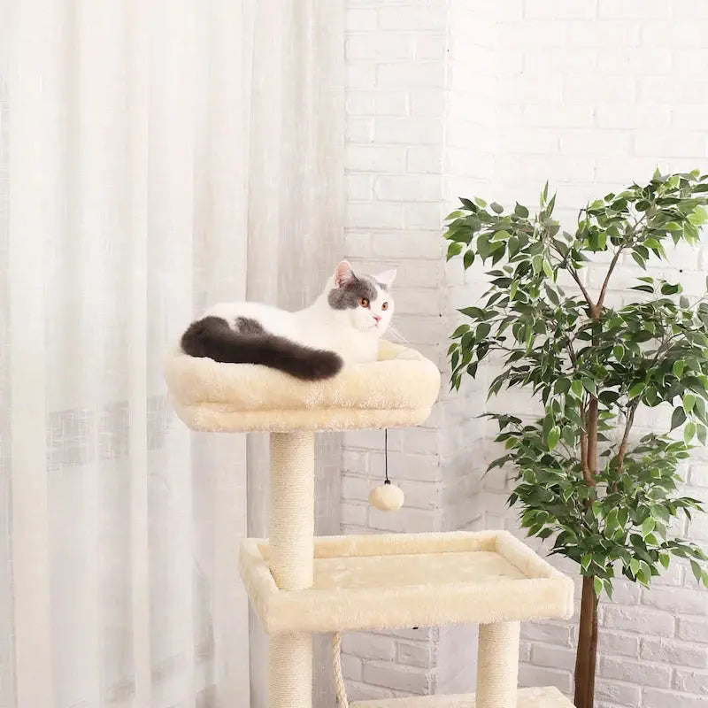 Arbre à Chat Moderne Ma boutique