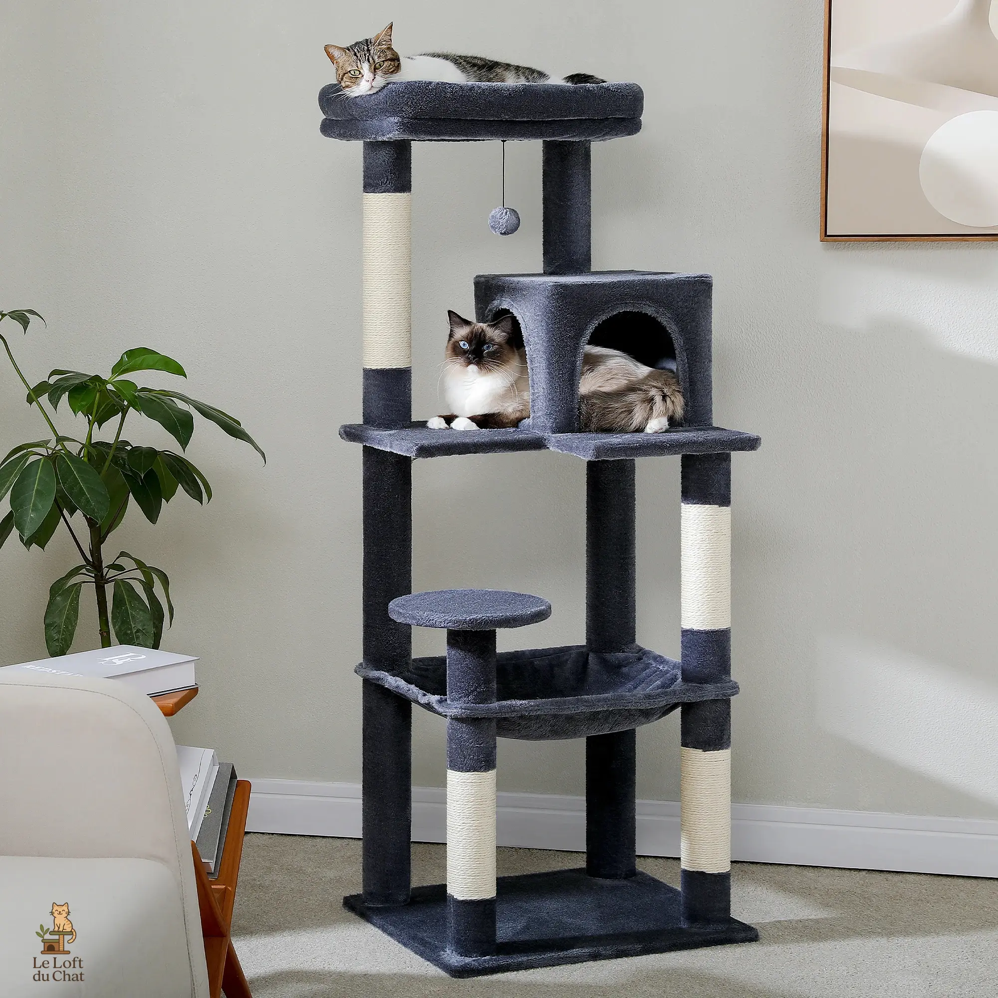 Arbre à Chat Grande Taille Coloris Ma boutique