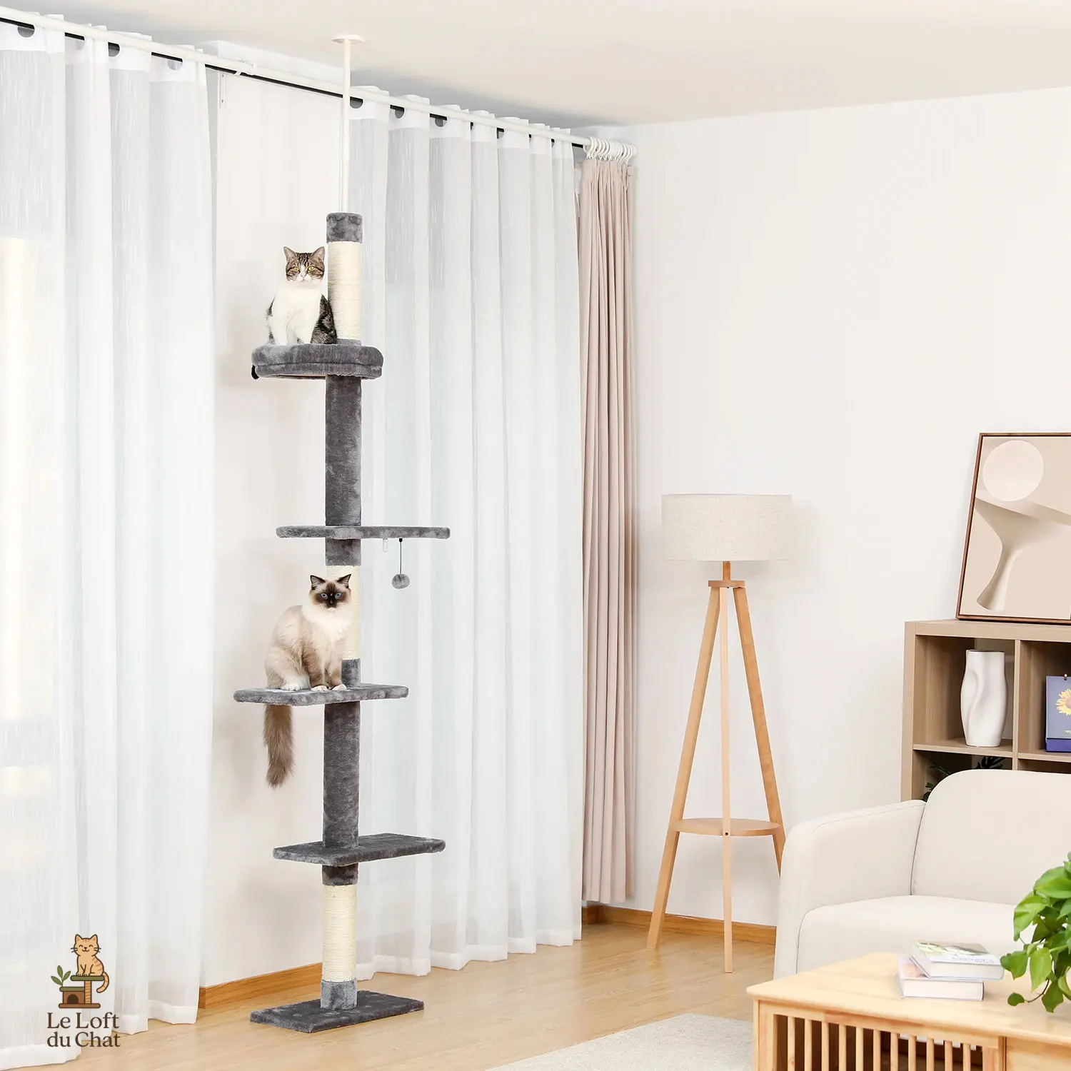 Arbre à Chat Tour Plafond Modulable Gris Ma boutique