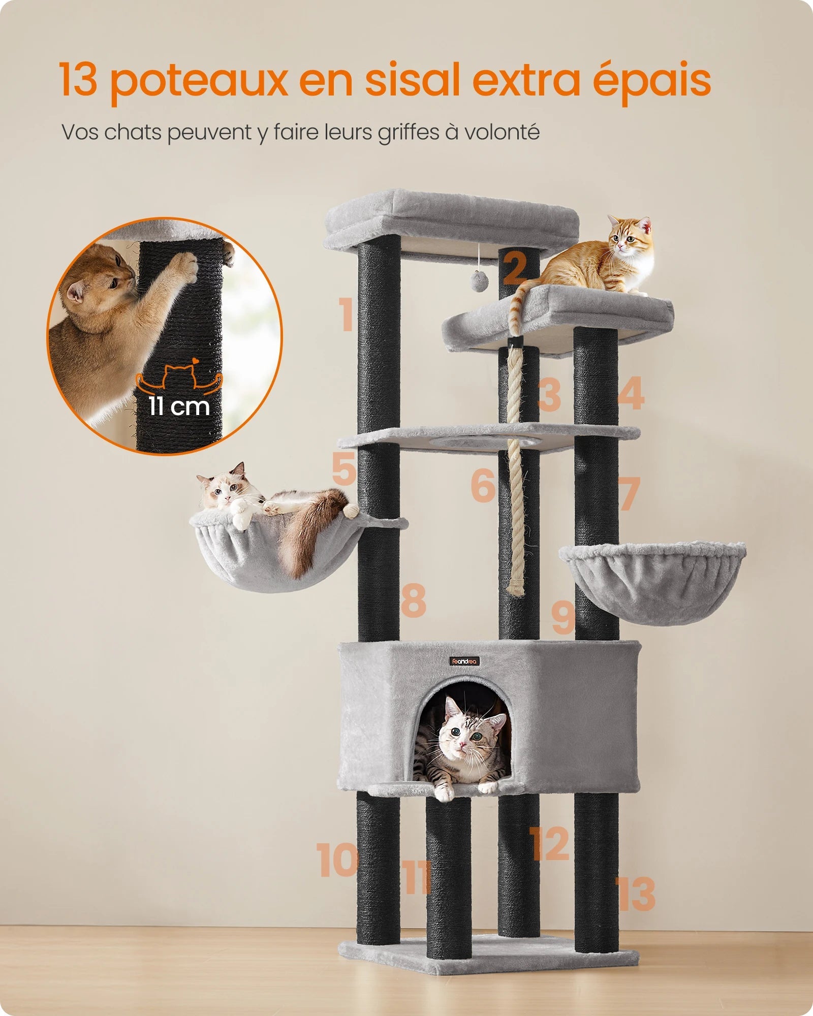 Arbre à Chat Maine Coon Robuste Ma boutique