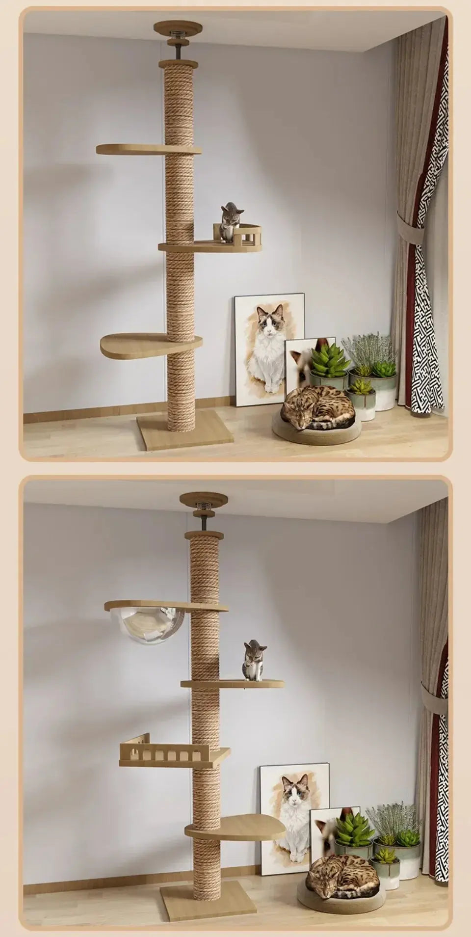 Arbre à Chat en Bois Design Ma boutique