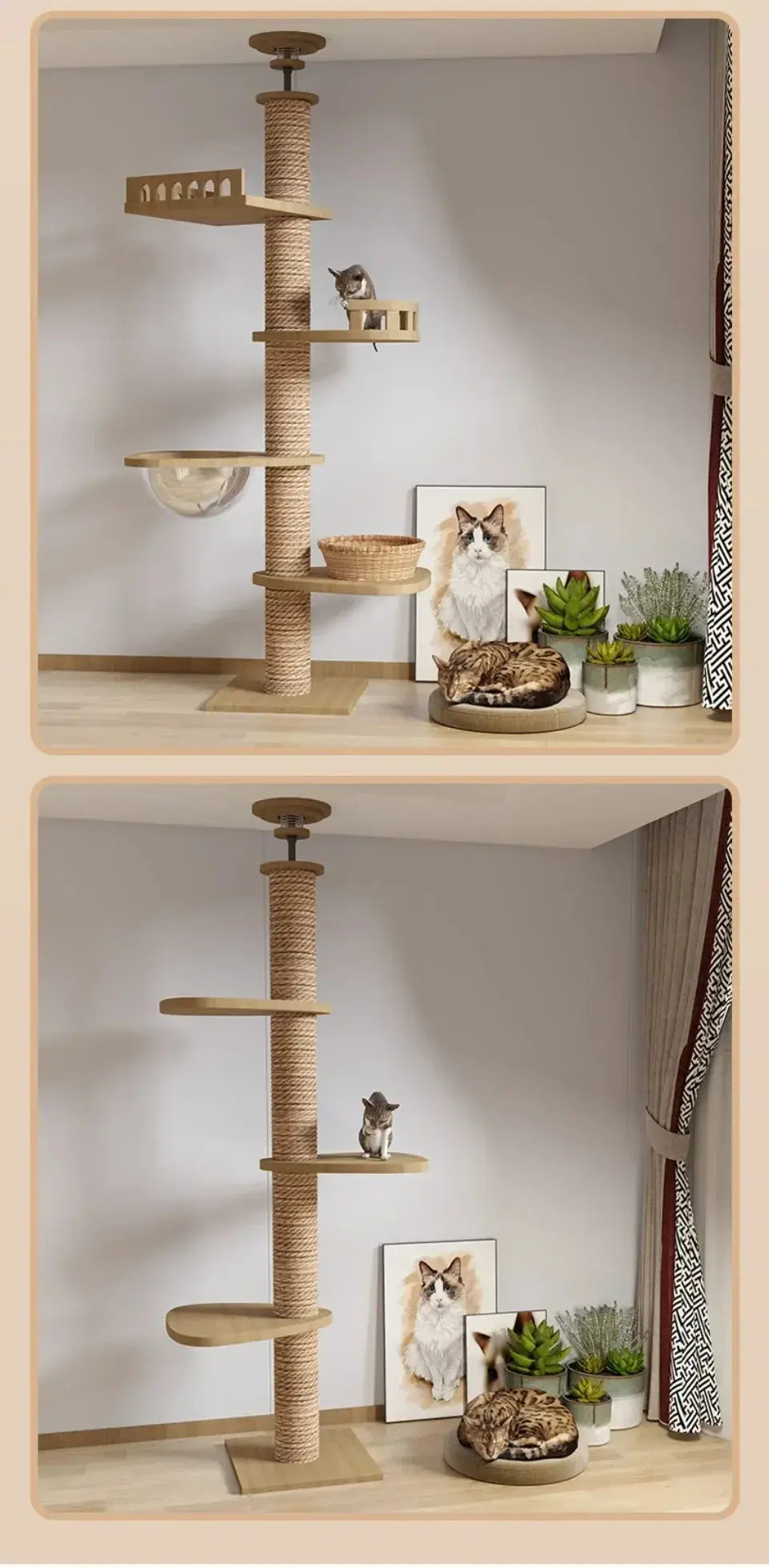 Arbre à Chat en Bois Design Ma boutique
