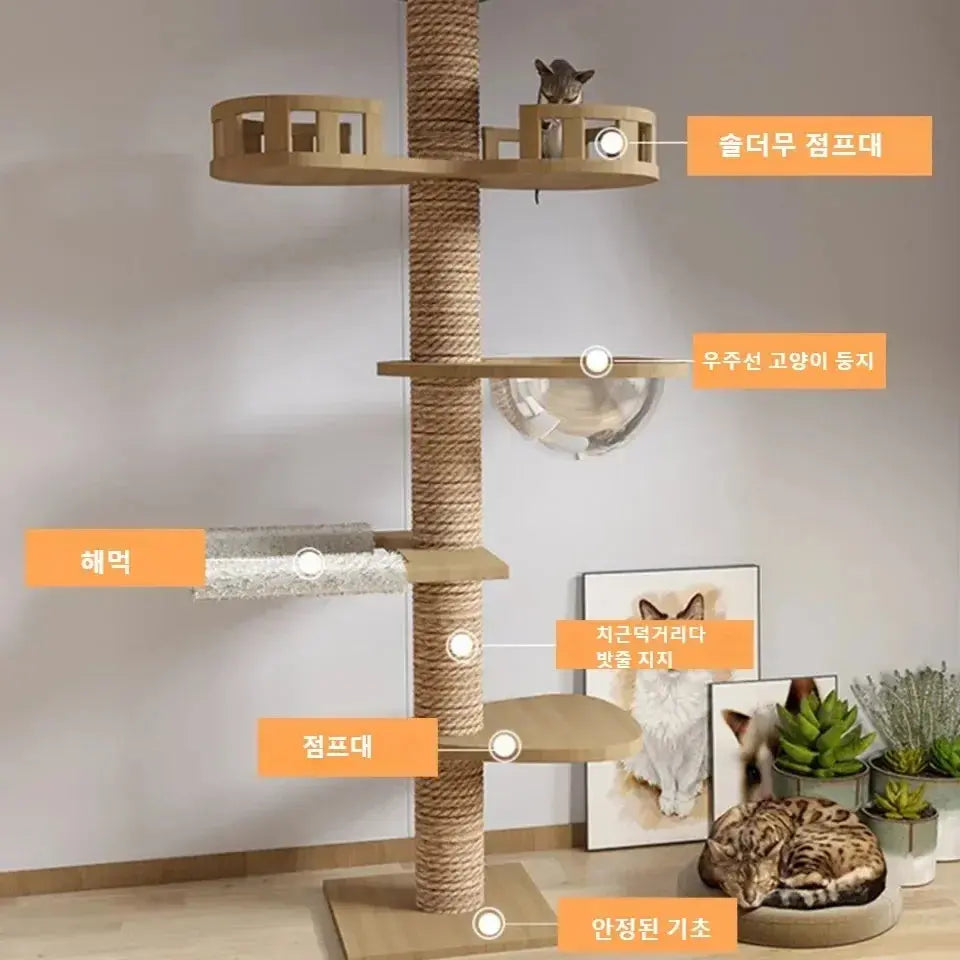 Arbre à Chat en Bois Design Ma boutique