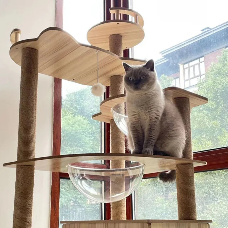 Arbre à Chat en Bois Design Moderne Ma boutique