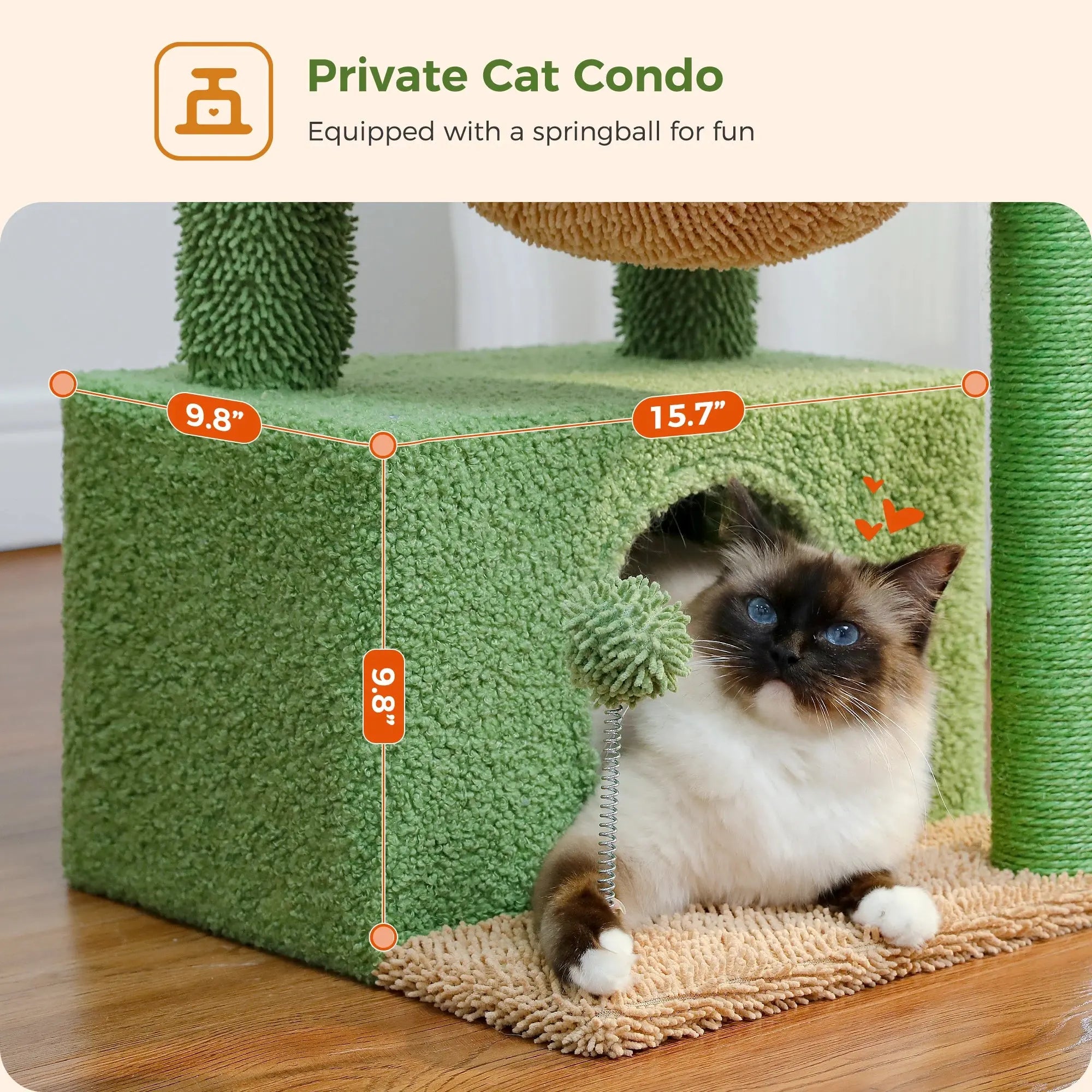 Arbre à Chat Cactus Petite Taille Ma boutique