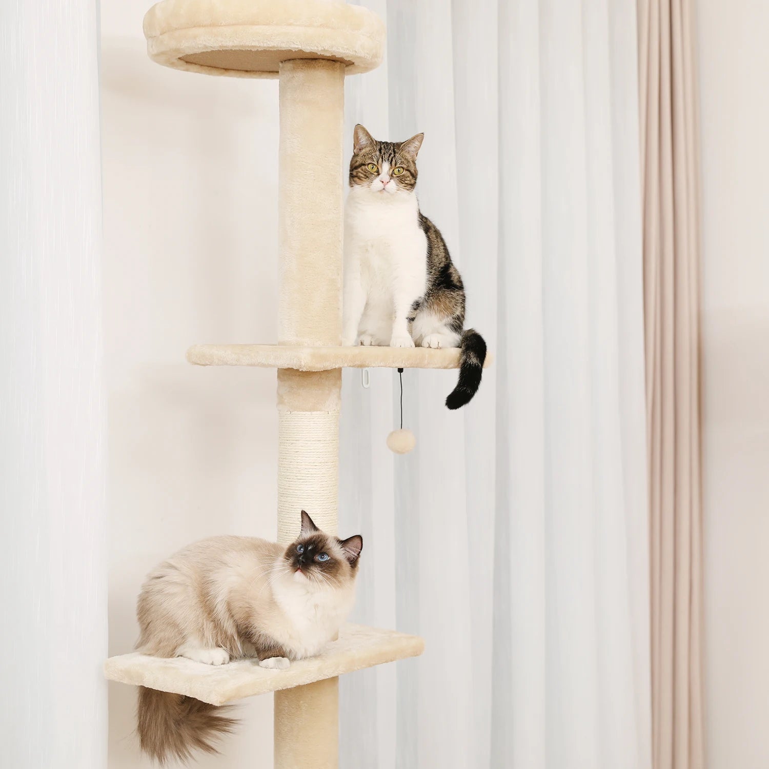 Arbre à Chat Plafond Modulable Ma boutique