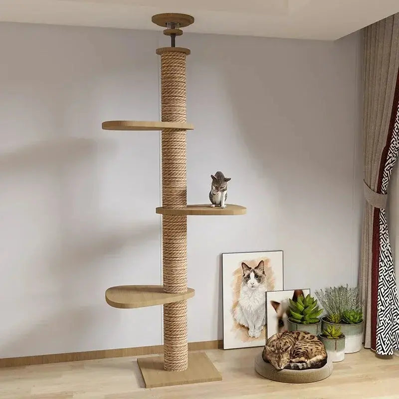 Arbre à Chat en Bois Design Ma boutique