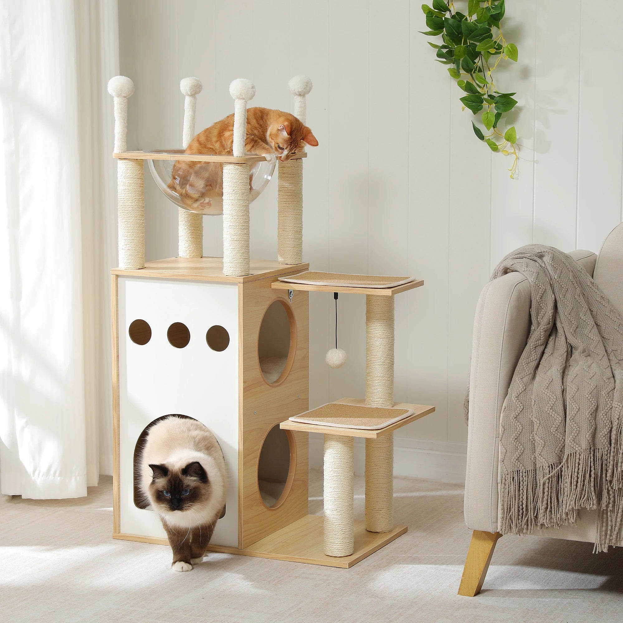 Arbre à Chat Moderne Ultra Stable Ma boutique
