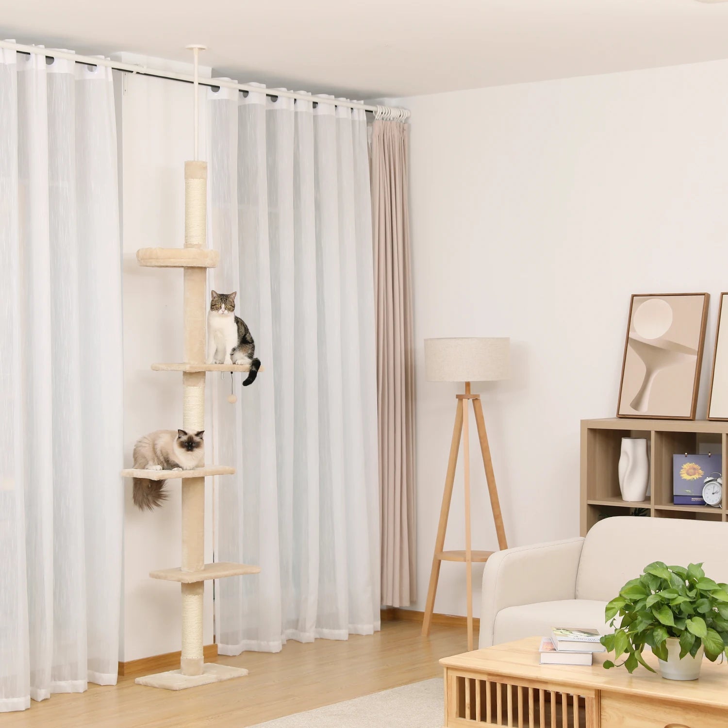 Arbre à Chat Plafond Modulable Ma boutique