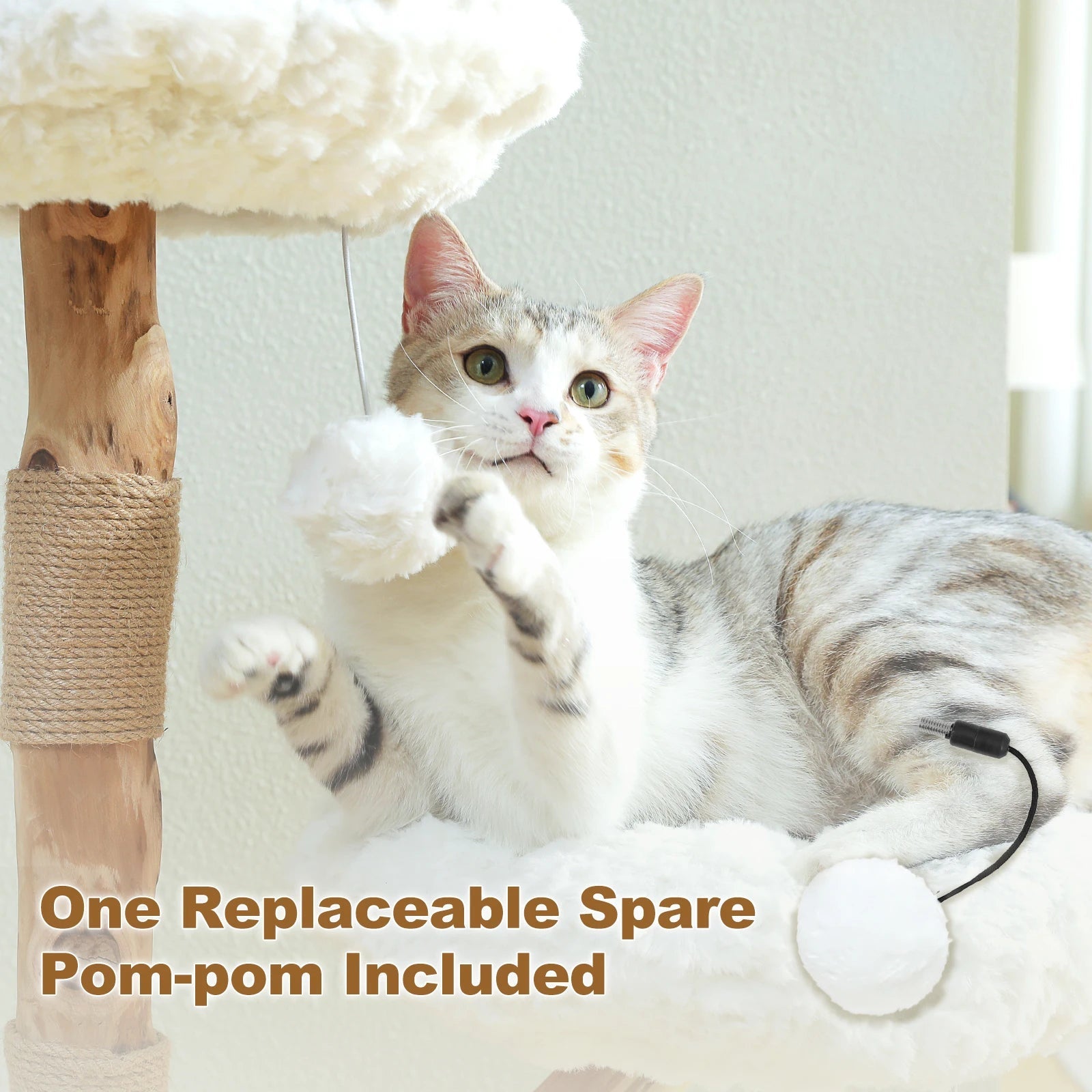 Arbre à Chat Fleur Douceur Ma boutique