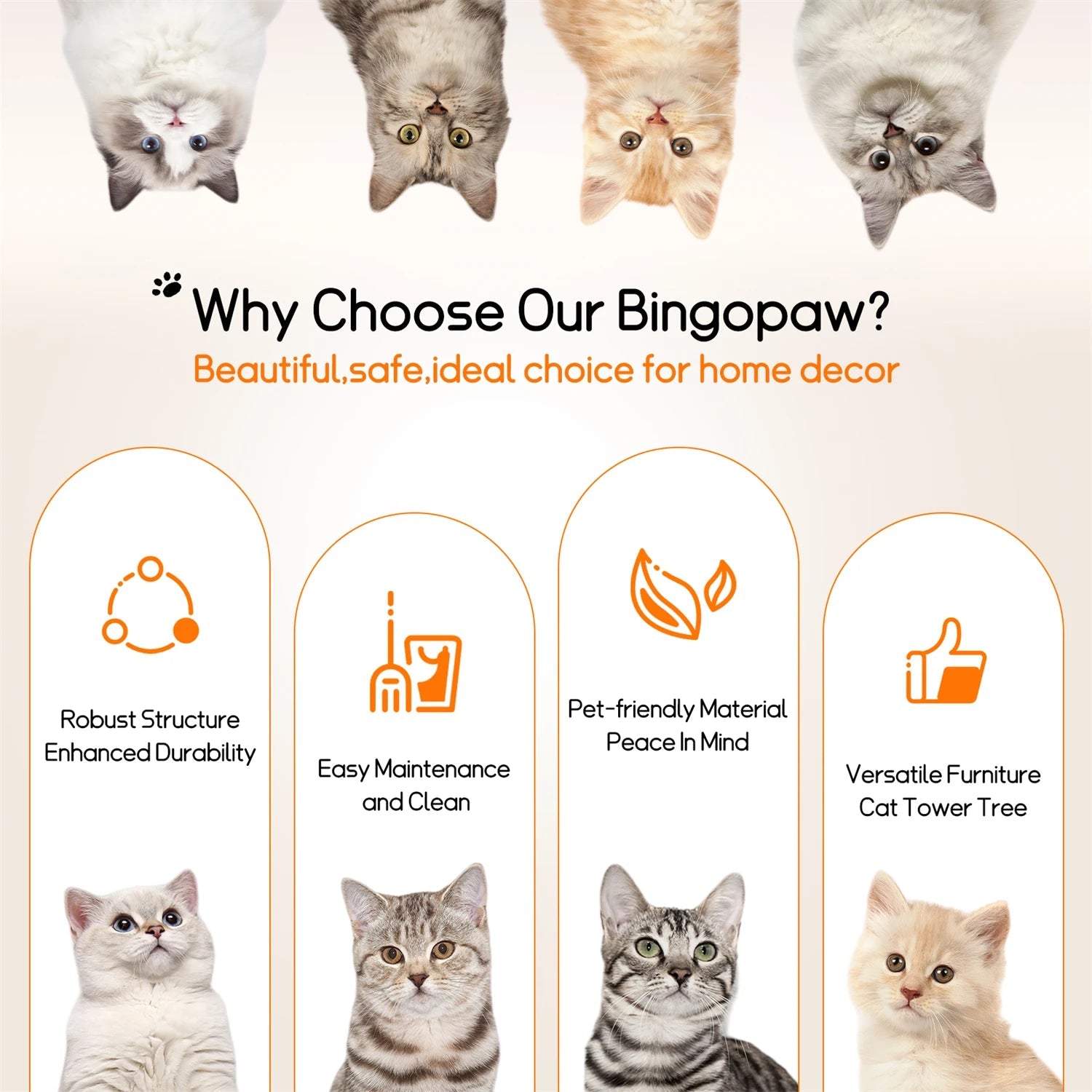 Arbre à Chat Moderne Original Ma boutique