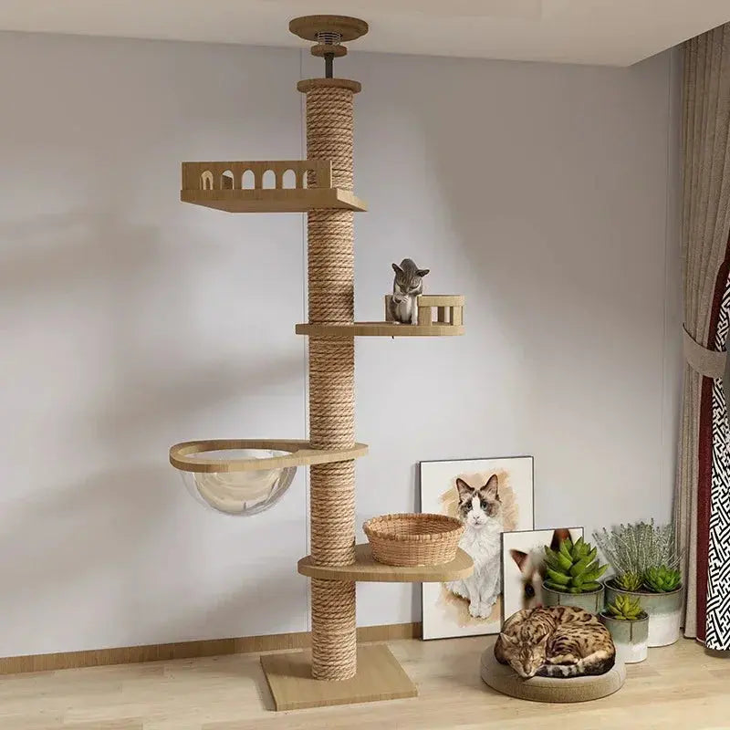 Arbre à Chat en Bois Design Ma boutique