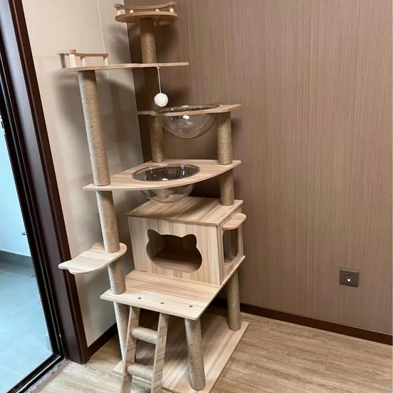 Arbre à Chat en Bois Design Moderne Ma boutique