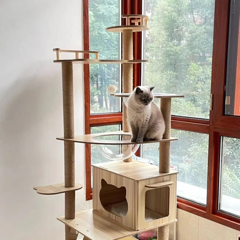 Arbre à Chat en Bois Design Moderne Ma boutique