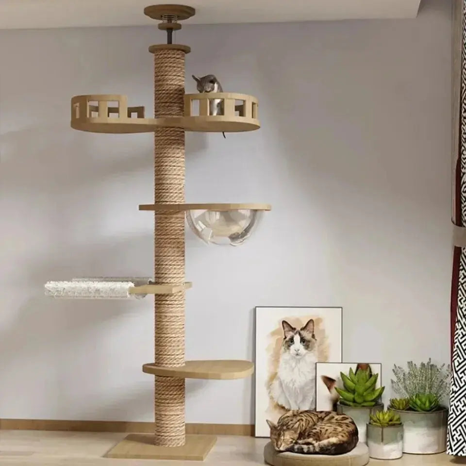 Arbre à Chat en Bois Design Ma boutique