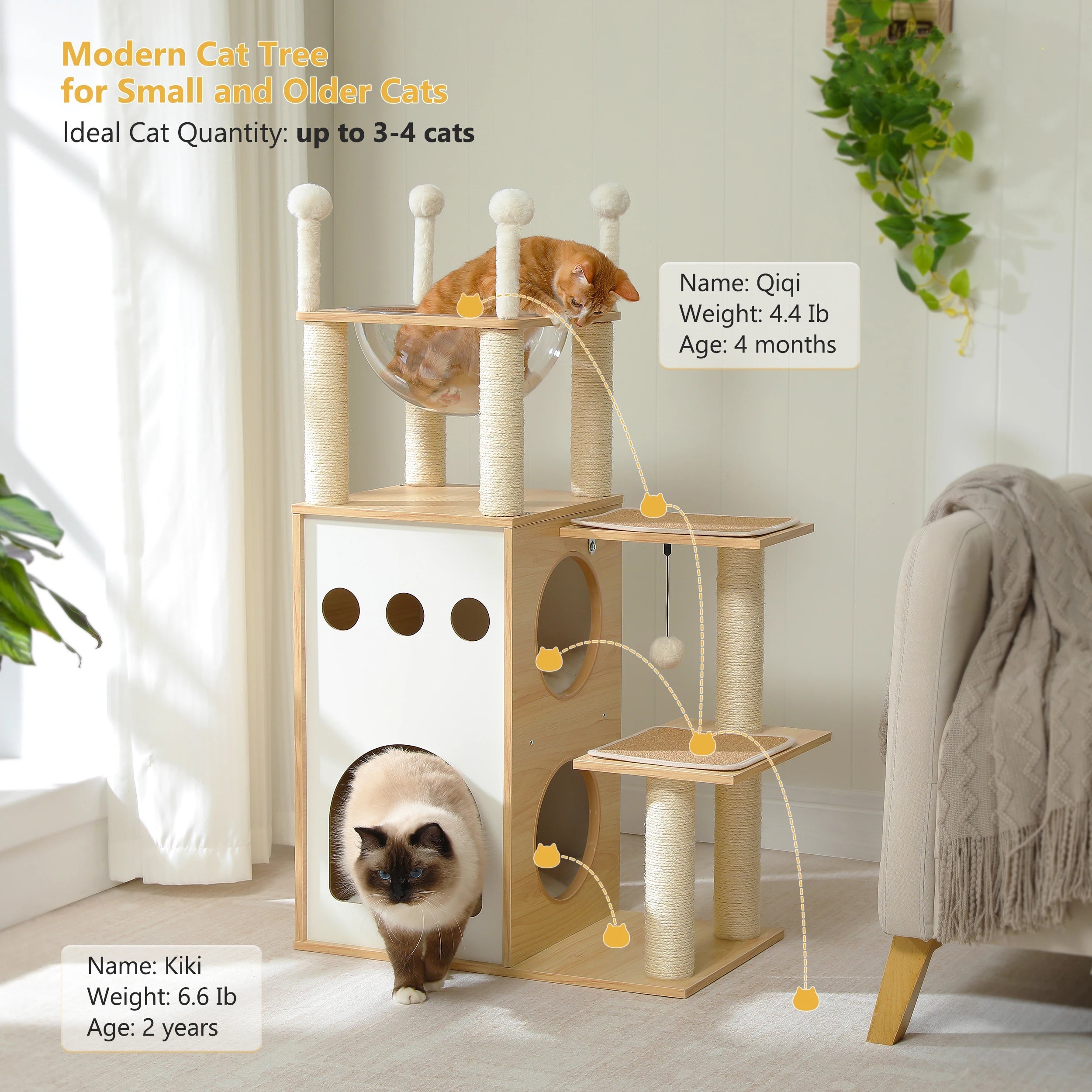 Arbre à Chat Moderne Ultra Stable Ma boutique