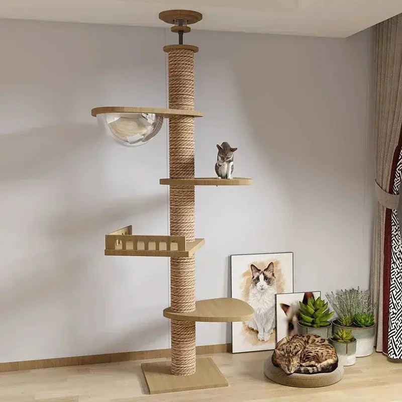 Arbre à Chat en Bois Design Ma boutique