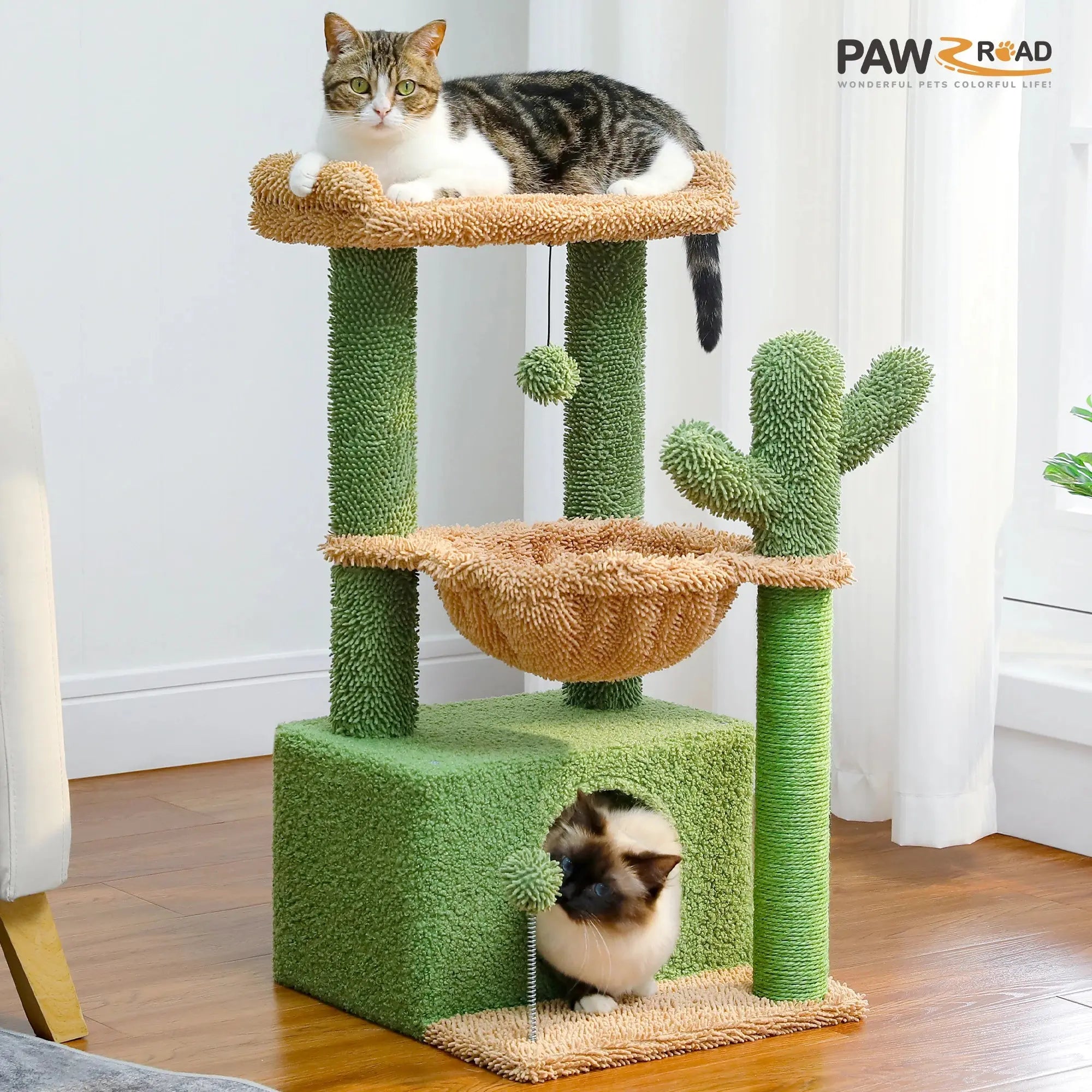 Arbre à Chat Cactus Petite Taille Ma boutique