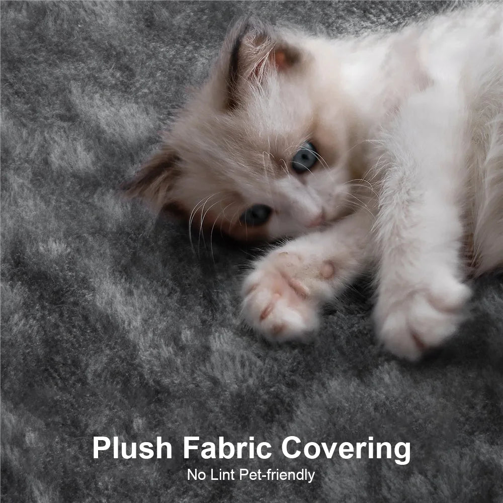 Arbre à Chat Petite Taille Confort Ma boutique