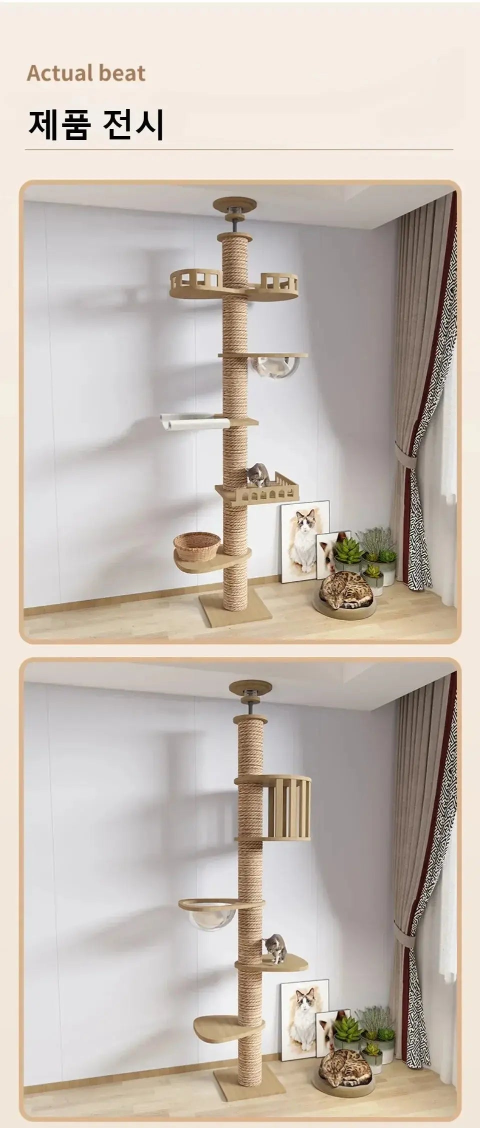 Arbre à Chat en Bois Design Ma boutique