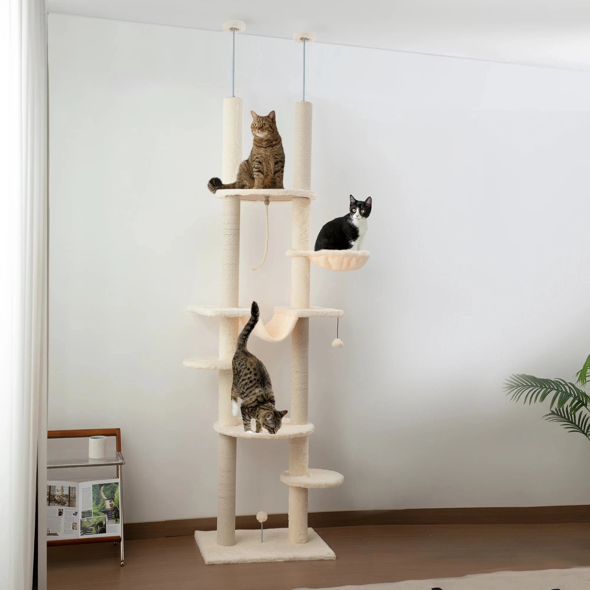 Arbre à Chat Ajustable 225-255 cm Ma boutique