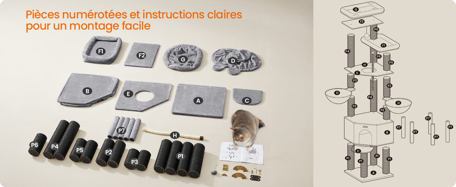 Arbre à Chat Maine Coon Robuste Ma boutique